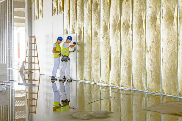 Best Home Insulation Services  in USA